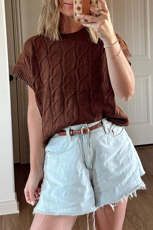 Dark Brown Cable Texture Crew Neck Short Sleeve Sweater Top
